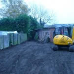 Frezen & uitgraven van wortels, boomverzorging Buyens