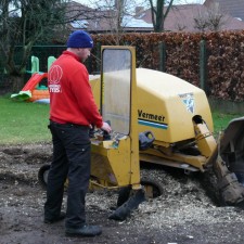 Frezen & uitgraven van wortels, boomverzorging Buyens Frezen & uitgraven van wortels, boomverzorging Buyens
